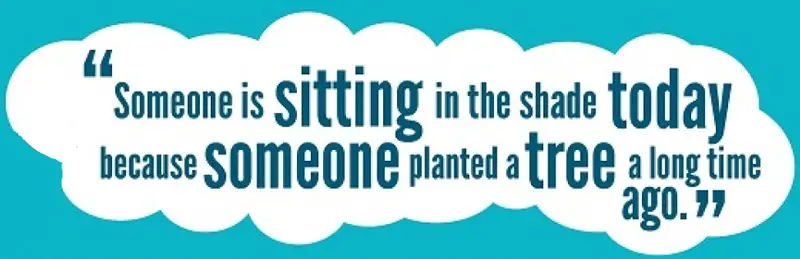 "Someone is sitting in the shade today because someone planted a tree a long time ago." - Warren Buffett