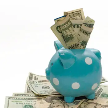 Piggy Bank - Savings