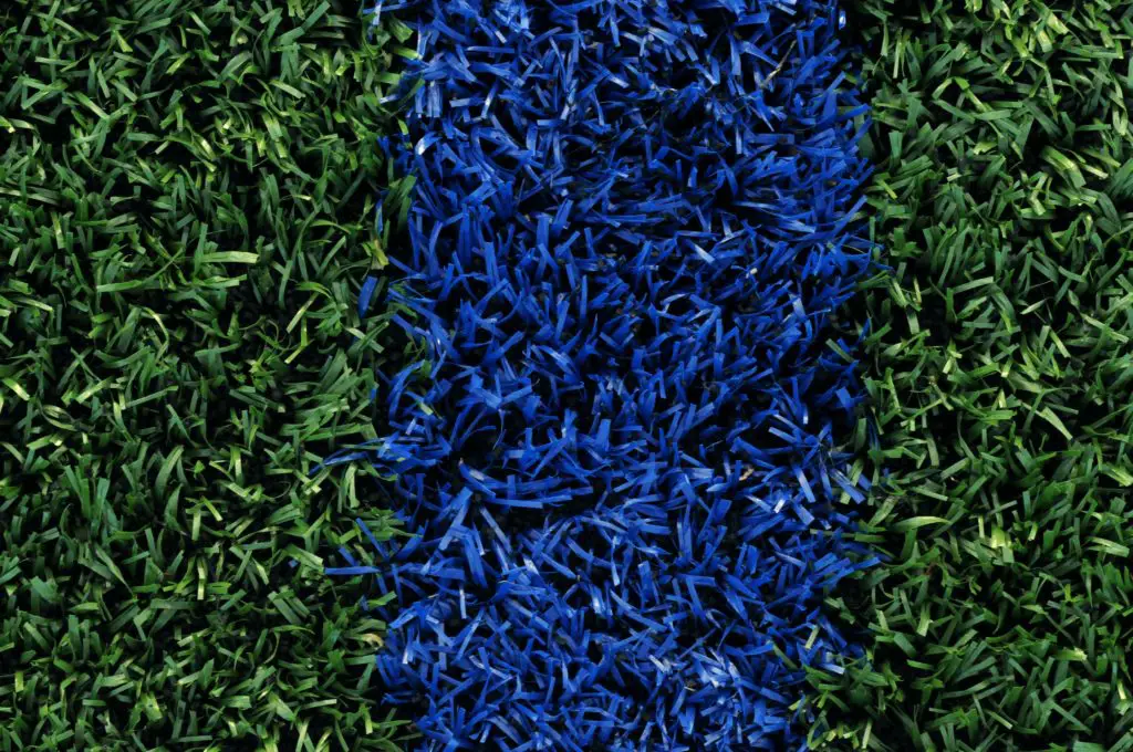 Which College Has Blue Turf?