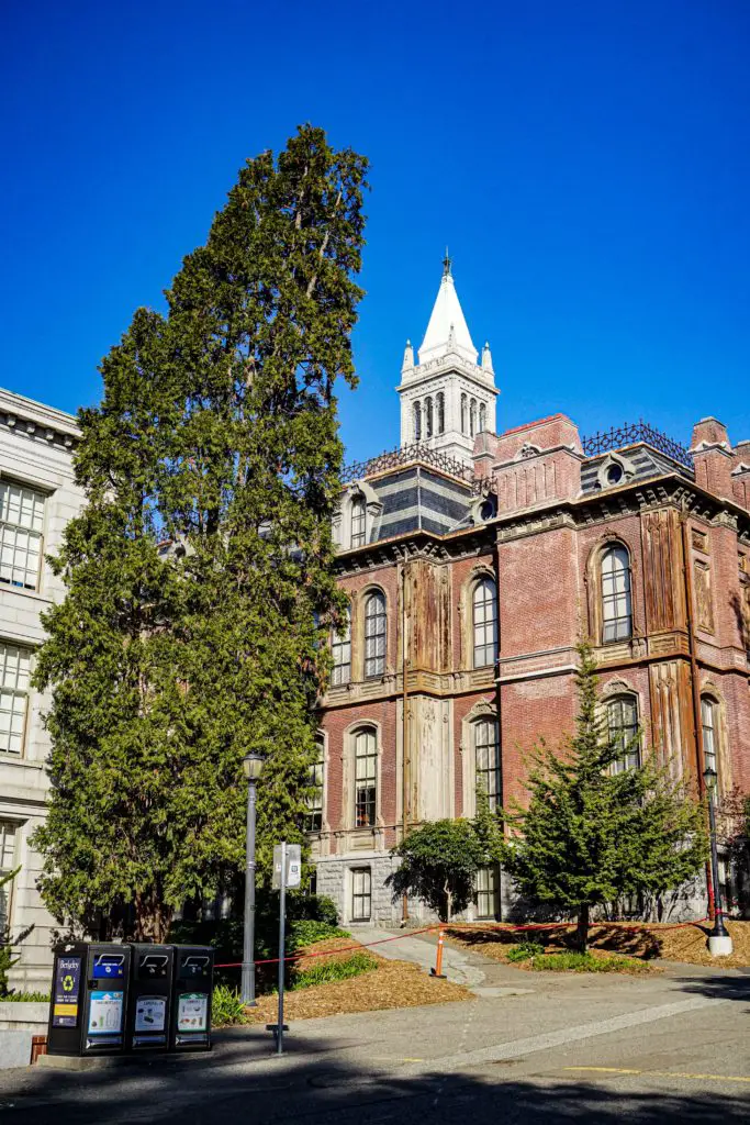 Caltech Acceptance Rate