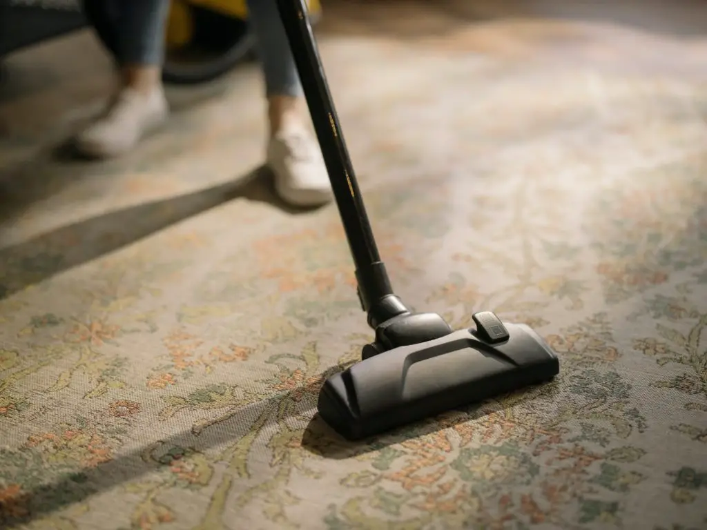 Fry's Carpet Cleaner Rental Cost Policy 