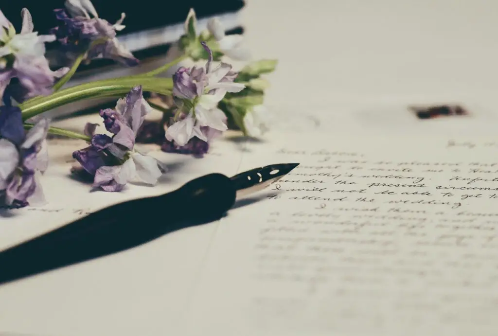 Apology Letter Examples For Cheating