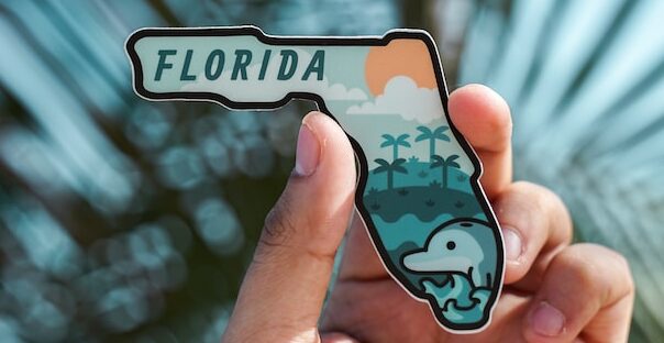 Fun facts about University of South Florida