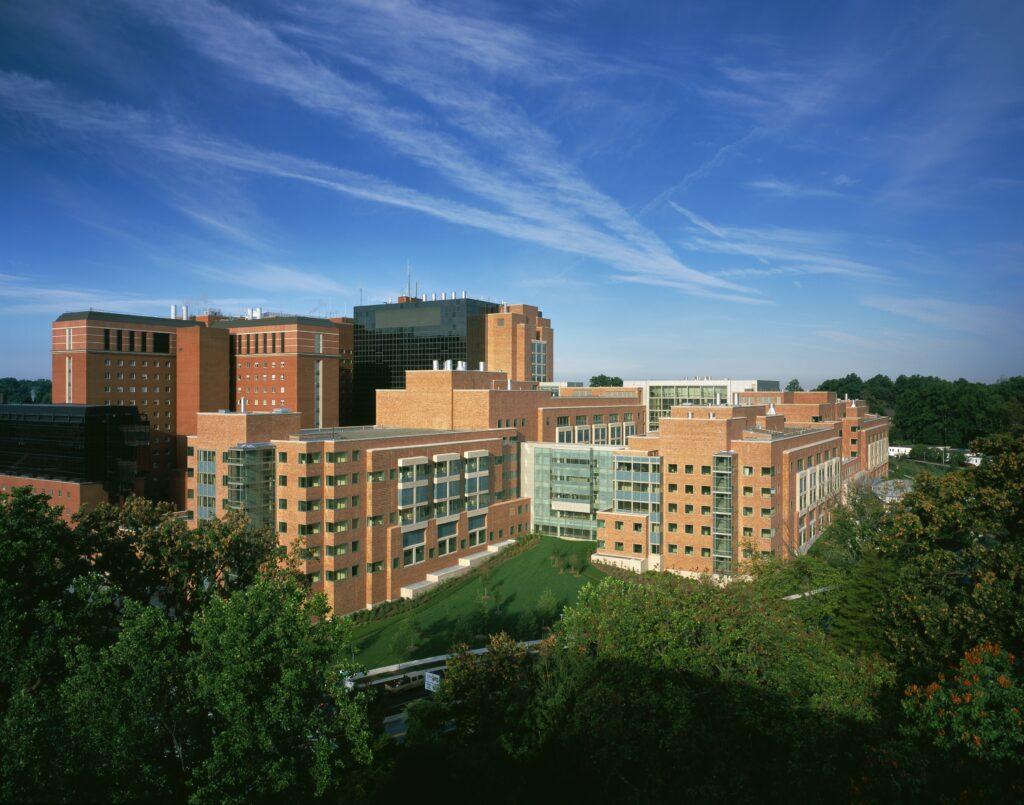 Sororities at The University of Texas MD Anderson Cancer Center