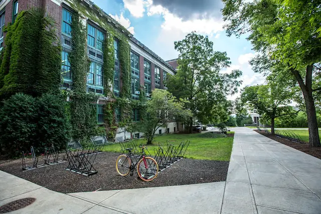 Sororities at Loyola University Maryland