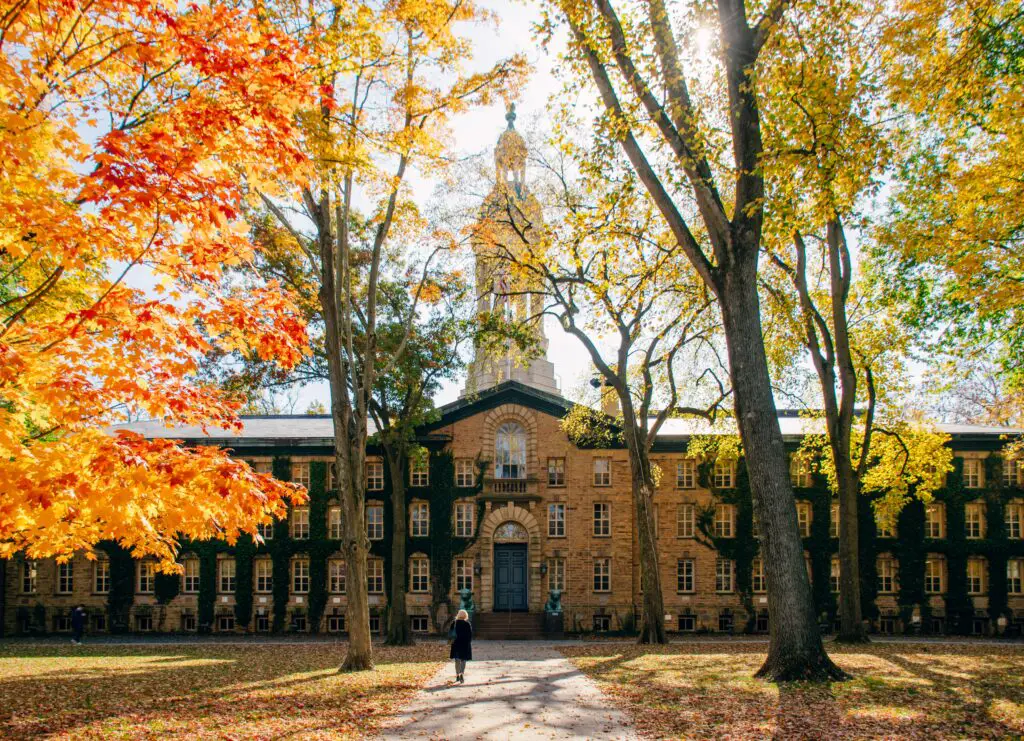 Pros & cons of Princeton University