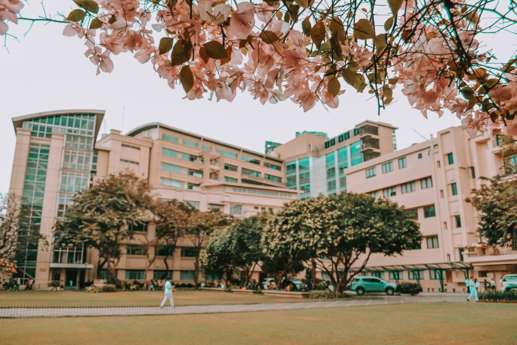 Fun facts about SIT Graduate Institute