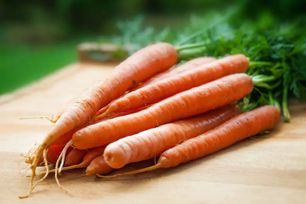150+ Best Carrot Puns and Jokes