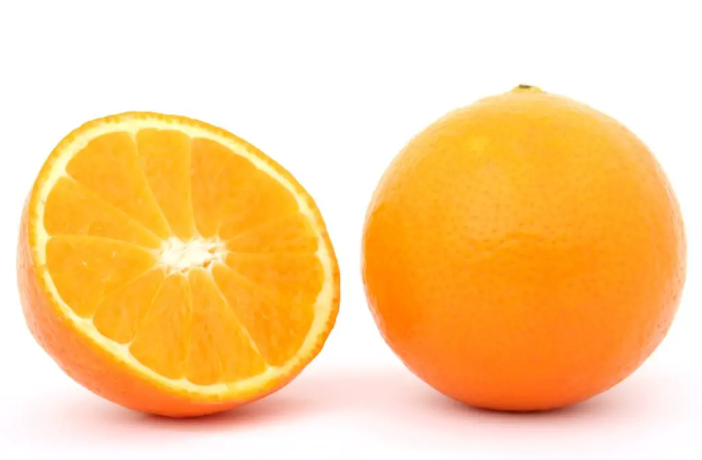 150+ Best Orange Puns and Jokes