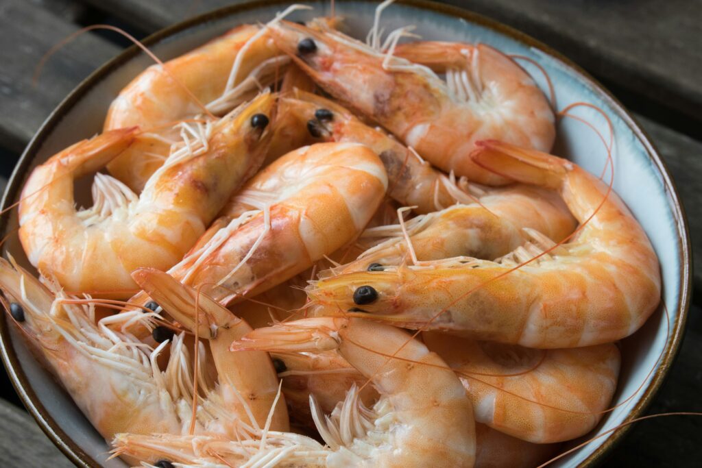 150+ Best Shrimp Puns and Jokes