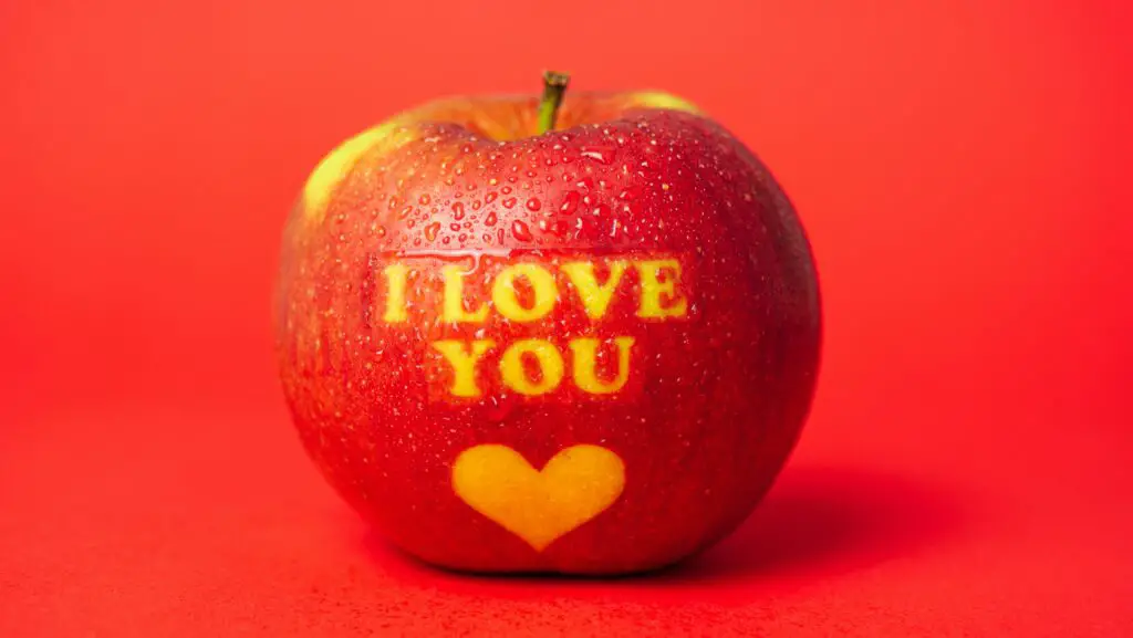 I Love You So Much Quotes