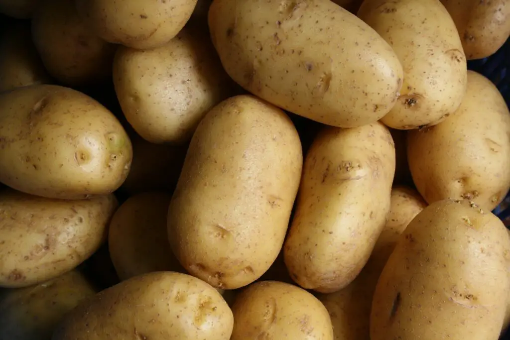150+ Best Potato Puns and Jokes
