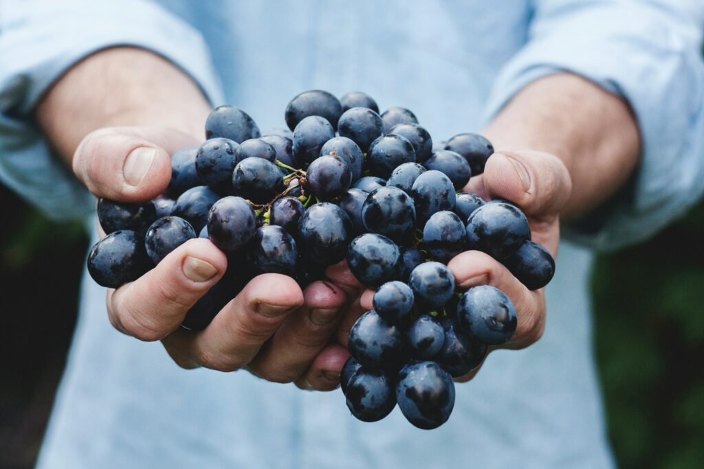 150+ Best Grape Puns and Jokes