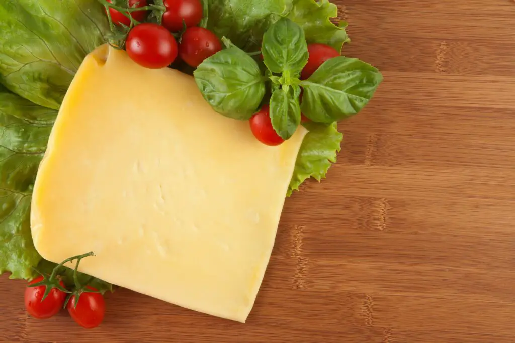 150+ Best Funny Cheese Puns