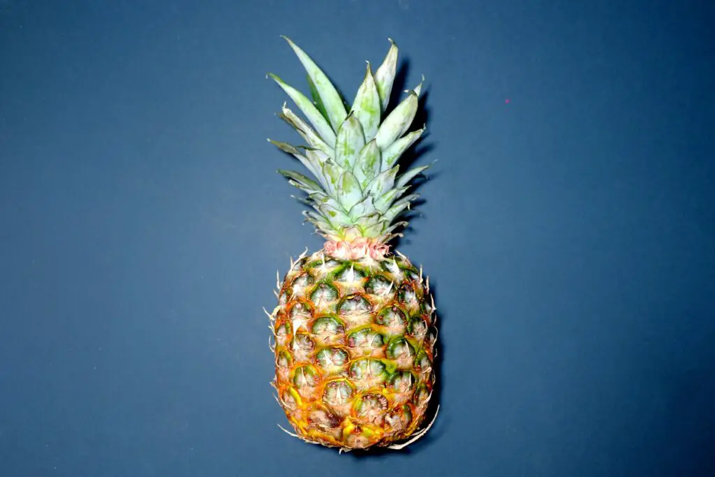 150+ Best Pineapple Puns and Jokes