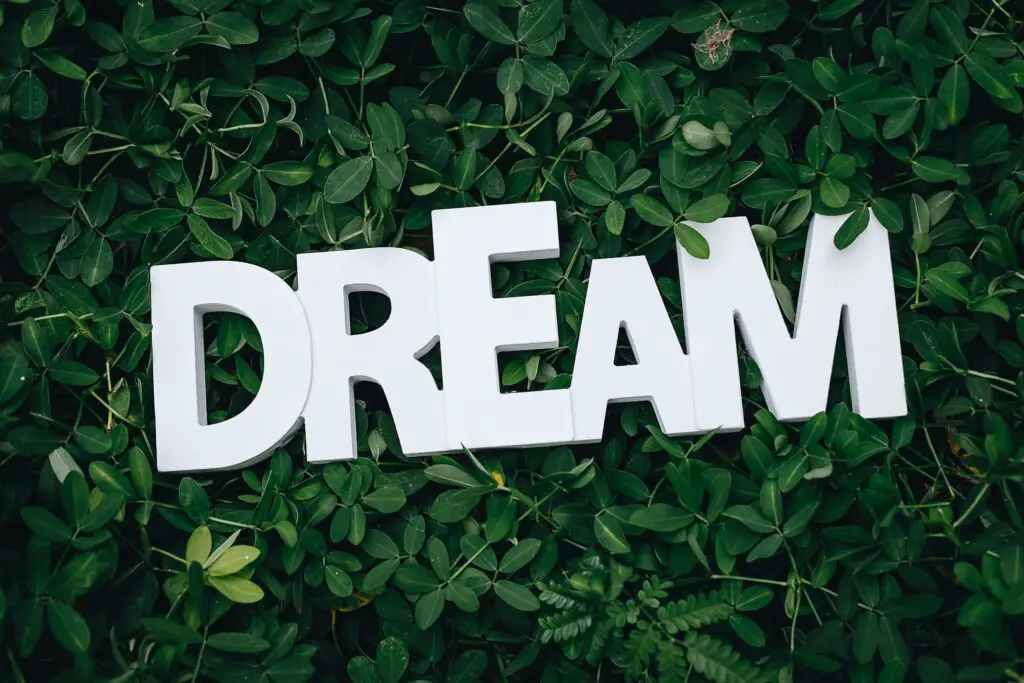 Synonyms-For-Follow-Your-Dreams