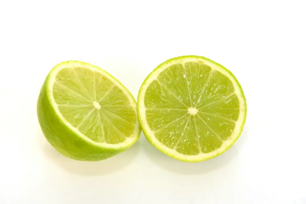 150+ Best Lime Puns and Jokes